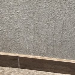La Quinta by Wyndham Jacksonville - Walls