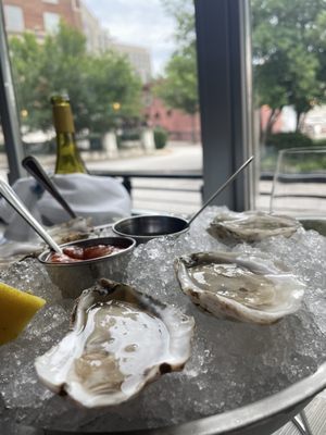 The Jones Oyster Co. by null