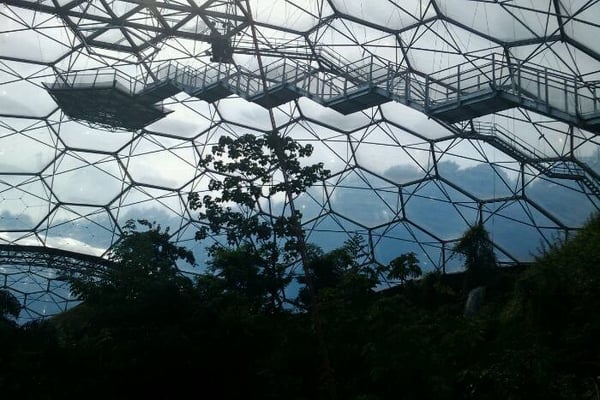 Eden Project by null