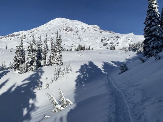Alexander's Lodge At Mt Rainier by null