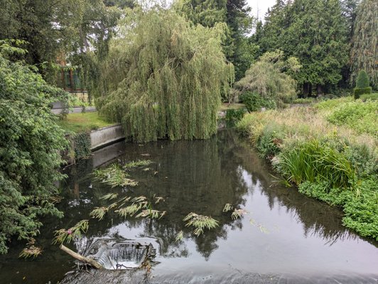 National Botanic Gardens by null