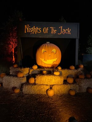 KING GILLETTE RANCH - Updated September 2024 - 297 Photos & 70 Reviews