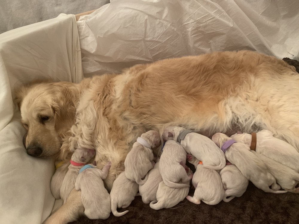 TINY BUBBLES LAUNDROMAT Updated September 2024 1844C Rt 112, Coram