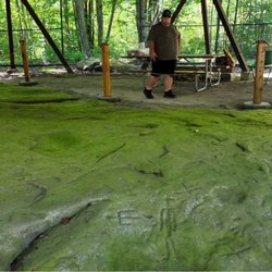 Sanilac Petroglyphs