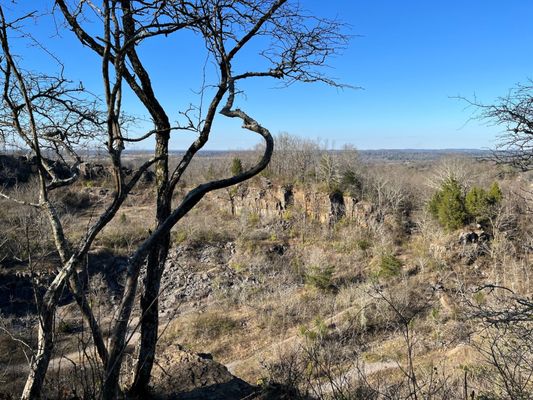 Ruffner Mountain by null