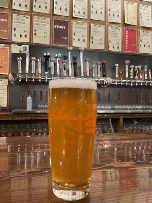 LaPa at SHINE Beer Sanctuary by null