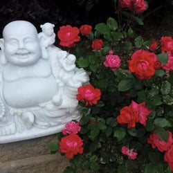 Vien Ngo Buddhist Zen Center