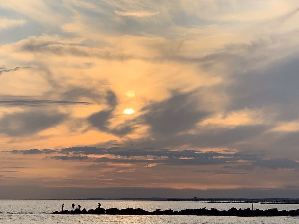 BRIGHTON BEACH 305 Photos & 135 Reviews Coney Island Ave