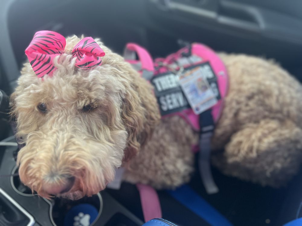 Cocoa's Healing Paws - grief counselor in Fontana, CA