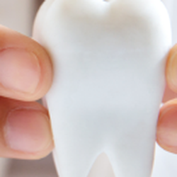 Memorial Drive Dental Associates