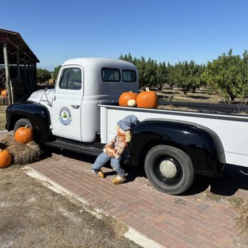 Southern Hill Farms - Fruits & Veggies Near Me - Clermont, Florida Southern Hill Farms - Fruits & Veggies Near Me - Clermont, Florida