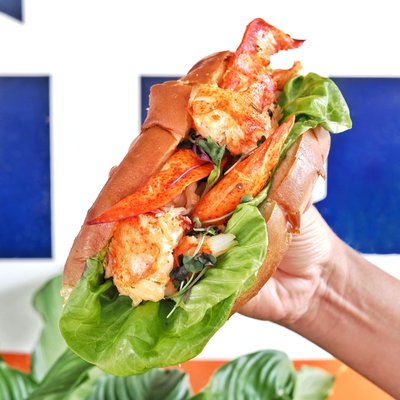 The Nauti Lobstah by null