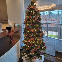 Campus Commons Periodontics - Love the tree and everyone! Merry, Merry!