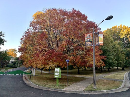 Overton Park by null