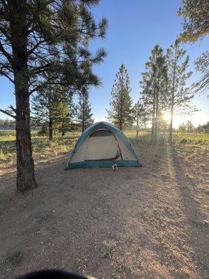 Bryce Canyon Pines Lodge by null