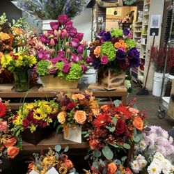 Botanica & Flowers