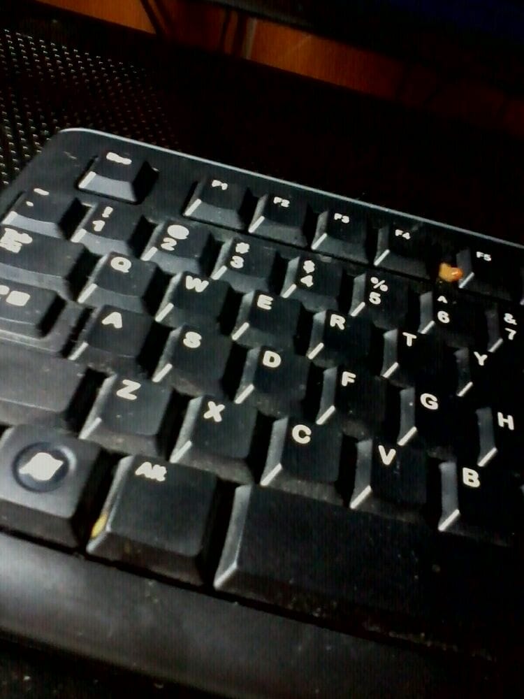 WILLIAMSBURG APARTMENTS Updated August 2024 10 Photos & 15 Reviews