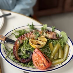 Octopus