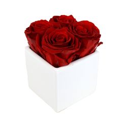 Brickell Exclusive Blooms - Red Roses Cube
