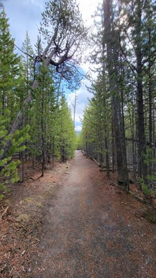 Biscuit Basin by null