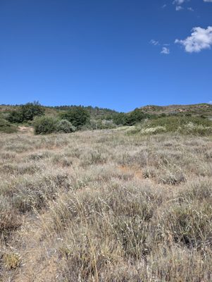 Noble Canyon Trailhead by null