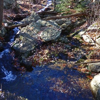 Norvin Green State Forest - Feeder Brook - Hiking Near Me - Ringwood, New Jersey