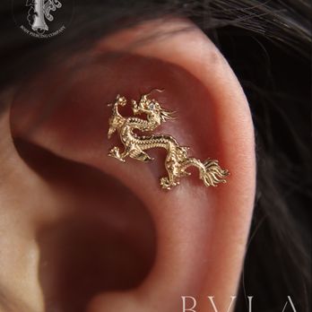 Fundamental Body Piercing - Fei/Long Dragon , Flat pierced by us - Piercing Near Me - Chicago, Illinois Fundamental Body Piercing - Fei/Long Dragon , Flat pierced by us - Piercing Near Me - Chicago, Illinois