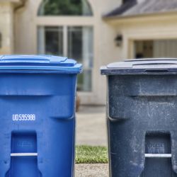 Texas Scrub Hub - Whats in your bin?