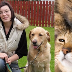 Pet Sitting Prtz Need Company Guildford, UK