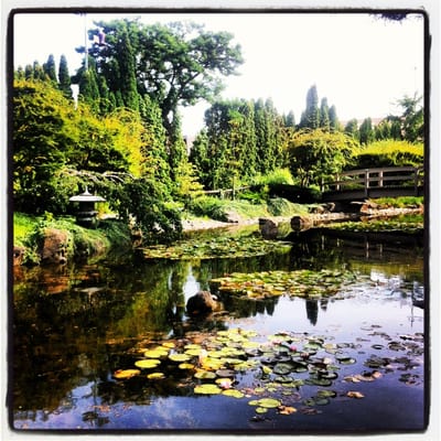 Kasugai Gardens by null