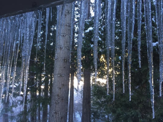 Yosemite Lodging at Big Creek Inn B&B by null