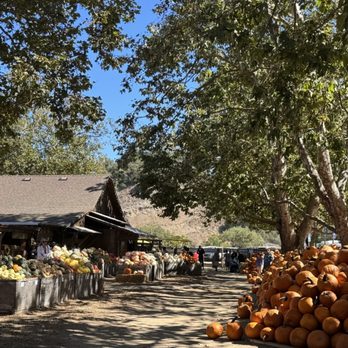 Avila Valley Barn - Fruits & Veggies Near Me - San Luis Obispo, California Avila Valley Barn - Fruits & Veggies Near Me - San Luis Obispo, California