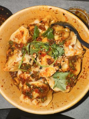 The Dumpling Lady by null