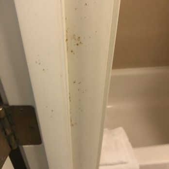 Staybridge Suites Toledo - Maumee - PUKE SPLATTER MAYBE? On the bathroom door - Hotels Near Me - Maumee, Ohio Staybridge Suites Toledo - Maumee - PUKE SPLATTER MAYBE? On the bathroom door - Hotels Near Me - Maumee, Ohio