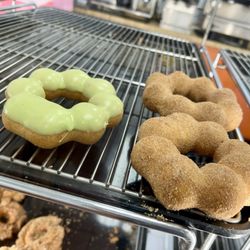 Dainty Donuts - Mochi donuts- pistachio and cinnamon
