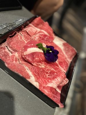 Moore Asian Fusion Shabu and Tapas by null