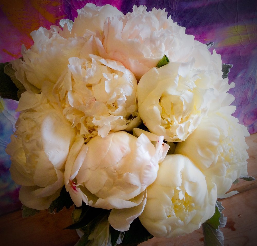 FLOWERS IN WEST HILL Request Information 61 Photos 4518 Kingston