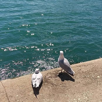Navy Pier - Lakefront - Landmarks & Historical Buildings Near Me - Chicago, Illinois
