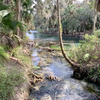 Gemini Springs Park - Sightseeing - Parks Near Me - Debary, Florida