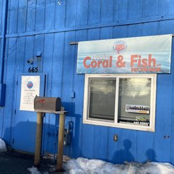 Alaska Coral & Fish - Store entrance