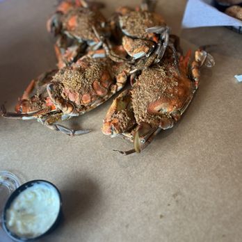 L P Steamers - Large steamers - Seafood Near Me - Baltimore, Maryland L P Steamers - Large steamers - Seafood Near Me - Baltimore, Maryland