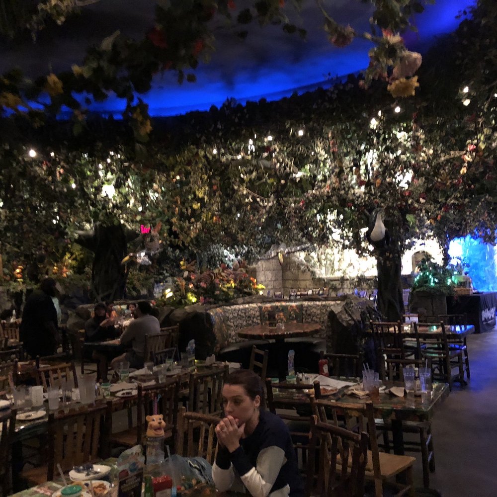 Rainforest Cafe - Interior - American Near Me - Katy, Texas Rainforest Cafe - Interior - American Near Me - Katy, Texas