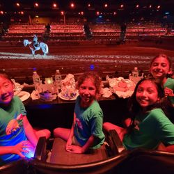 Camp Oasis - Medieval Times