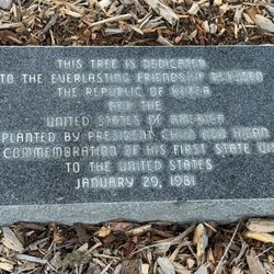 Korean Bell of Friendship - Tree Dedication Info Plaque