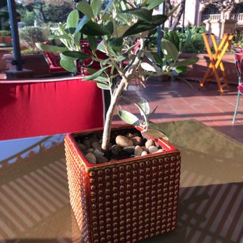 Amaya - New American Near Me - San Diego, California