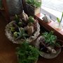Photo of Kathy's Full Service Salon