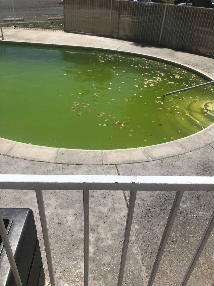 NEW DESERT VISTA APARTMENTS Updated August 2024 2301 Muriel Dr