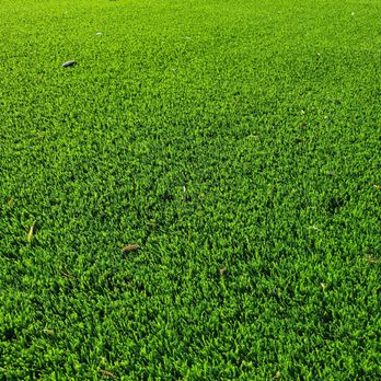 RP Synthetic Turf - Artificial Turf Near Me - Fontana, California RP Synthetic Turf - Artificial Turf Near Me - Fontana, California