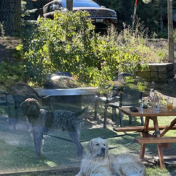 Crooked Tree Tavern & Grill - Outdoor patio - New American Near Me - Mt Hood, Oregon Crooked Tree Tavern & Grill - Outdoor patio - New American Near Me - Mt Hood, Oregon