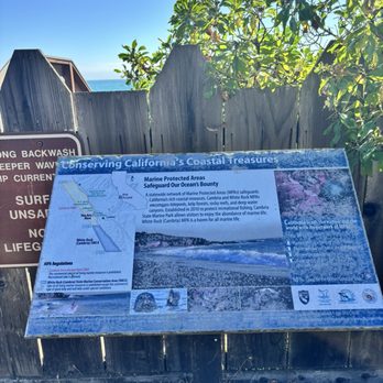 Shamel Park - Parks Near Me - Cambria, California